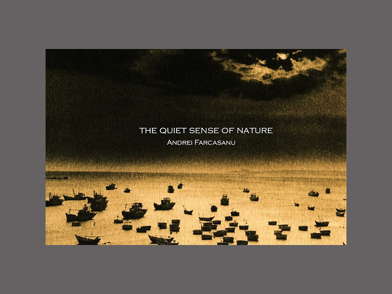 THE QUIET SENSE OF NATURE
